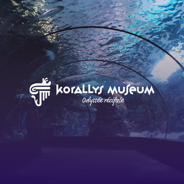Projet korallys museum - Pixta communication